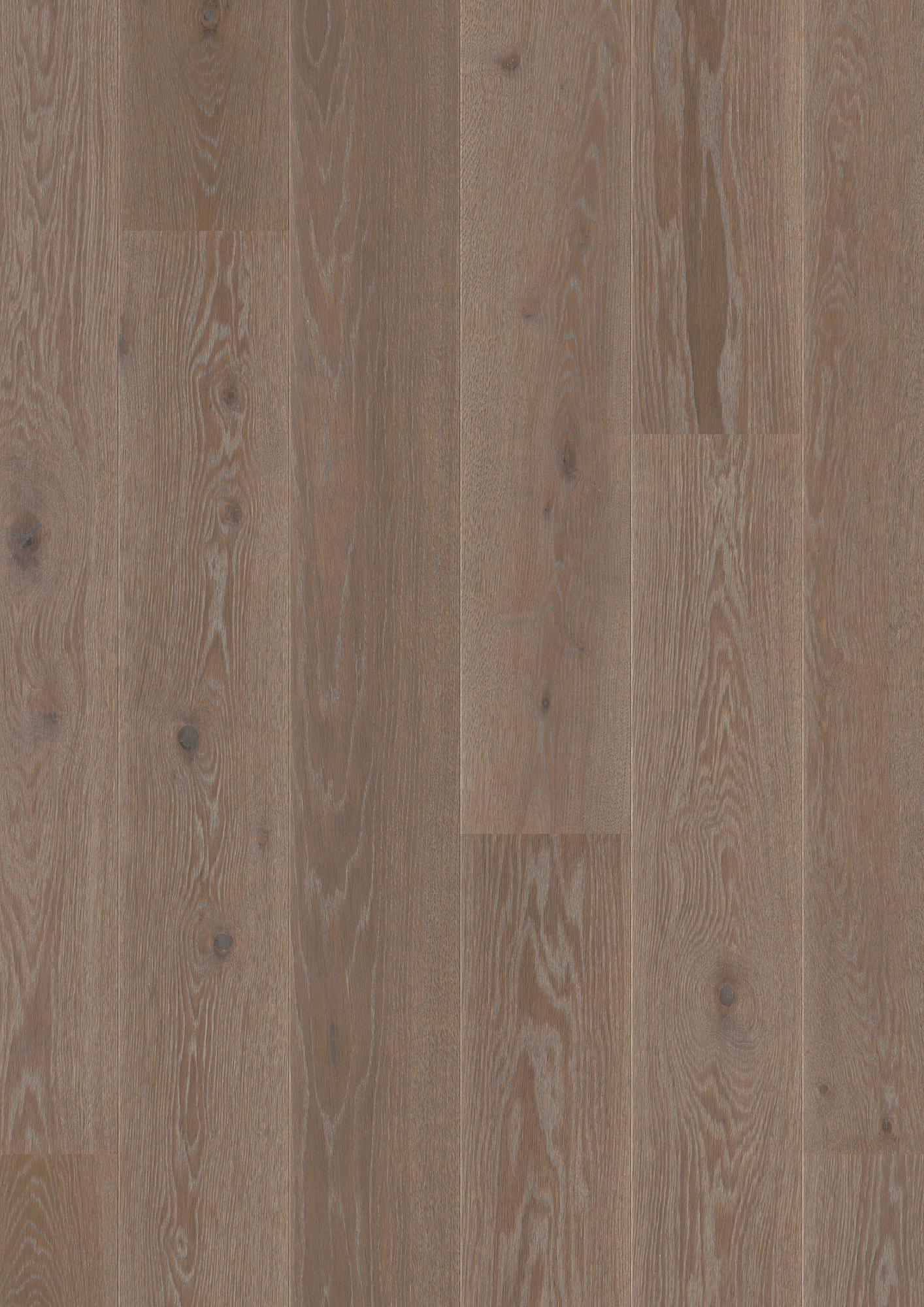 Oak India Grey Hardwood Flooring Design | Sprint Floors